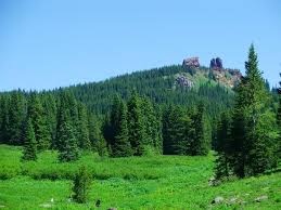 Polaris RZR in high-elevation terrain near Steamboat Springs
