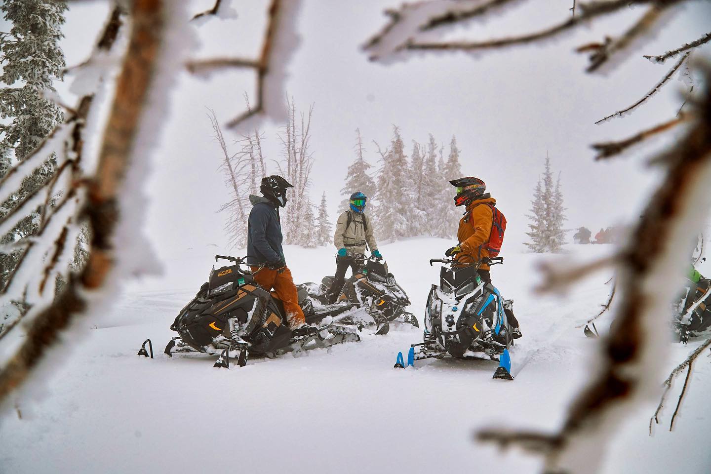 Guided backcountry snowmobile adventure