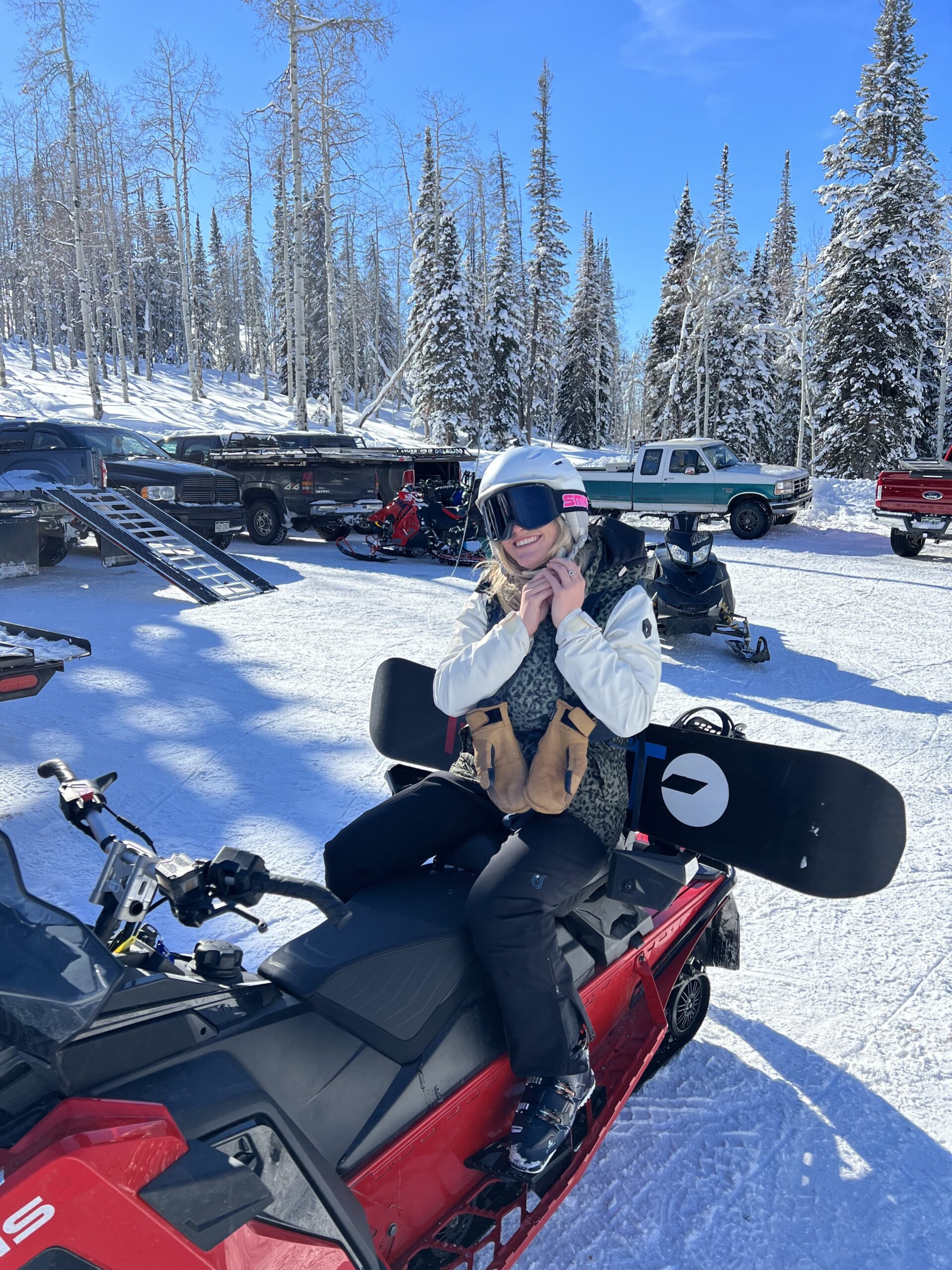 Polaris Voyager sled ski package