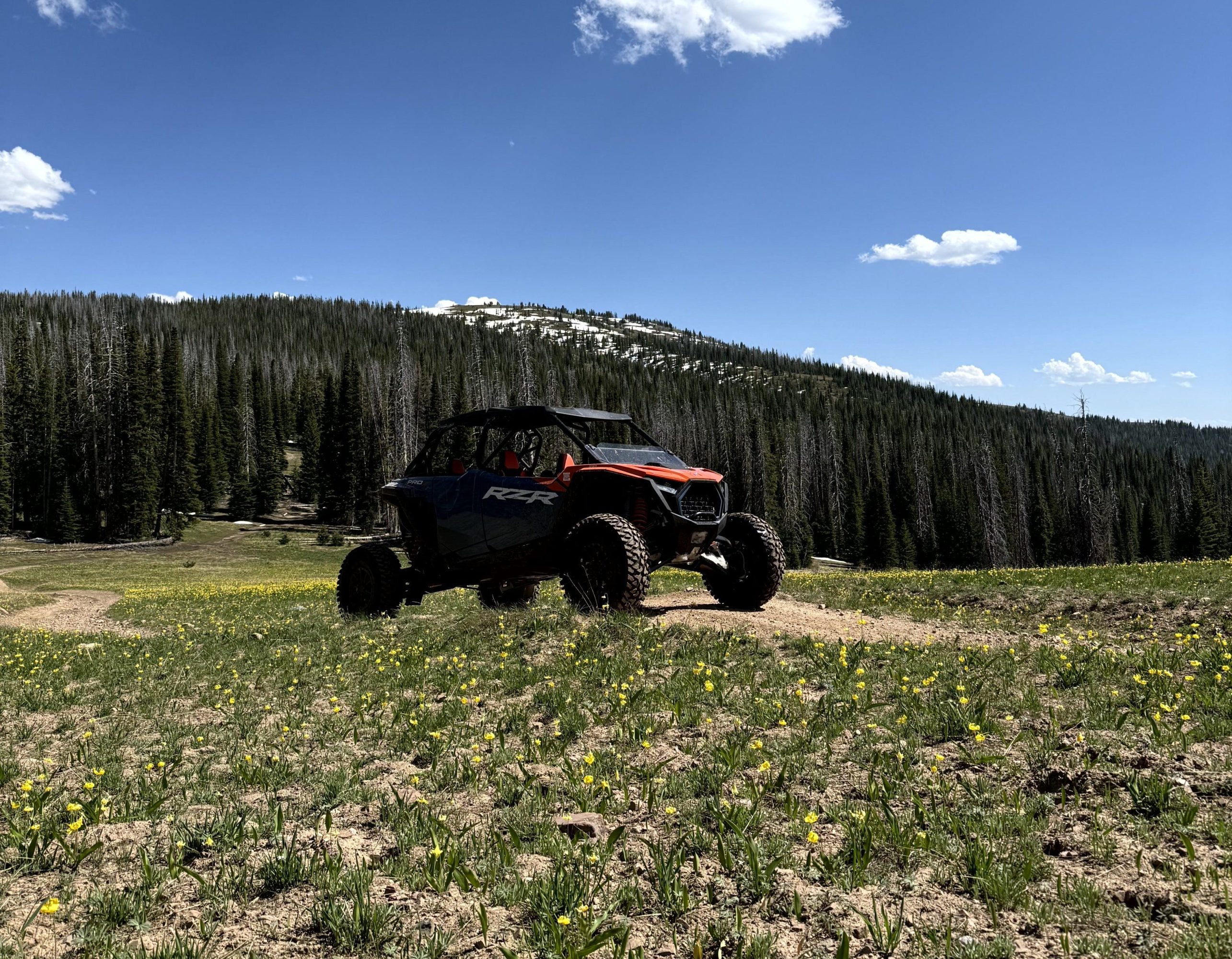 Off-road vehicle on a grassy hill with a forest and blue sky background.