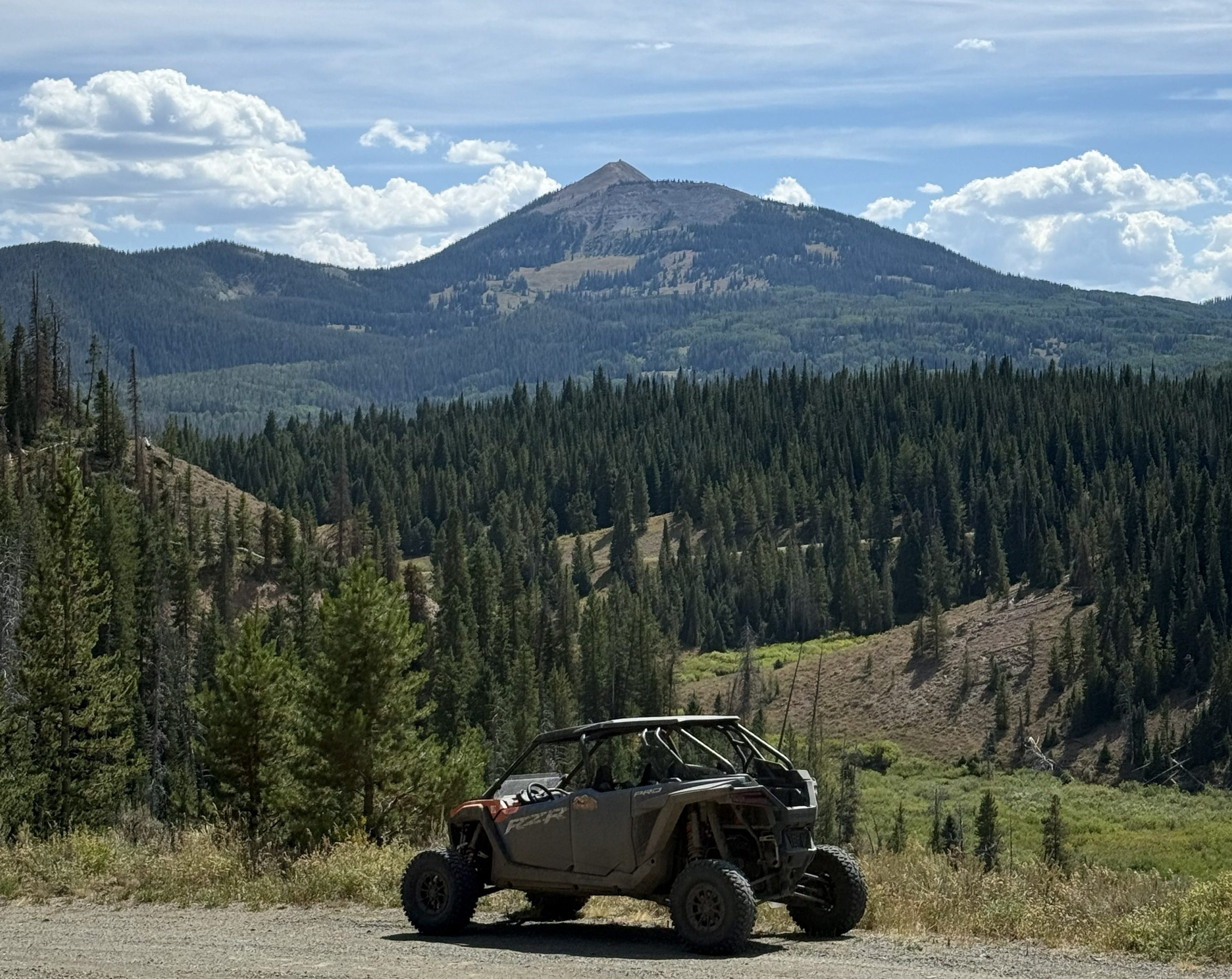Driver view from a North Routt RZR rental route in Colorado